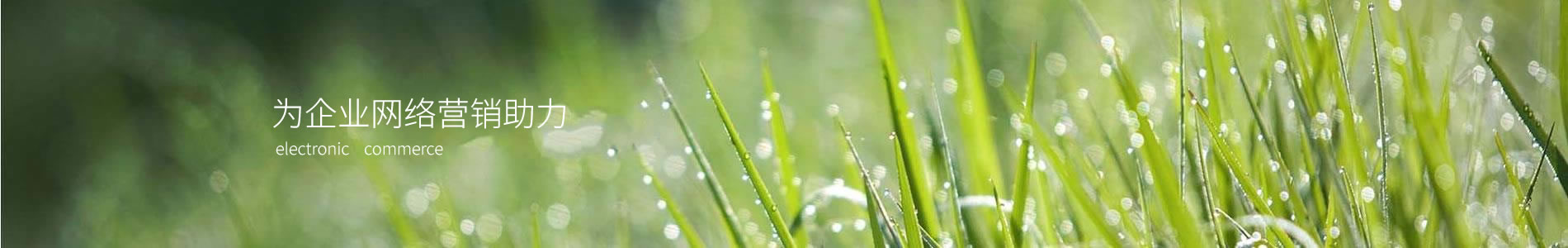 ݸŷ豸޹˾